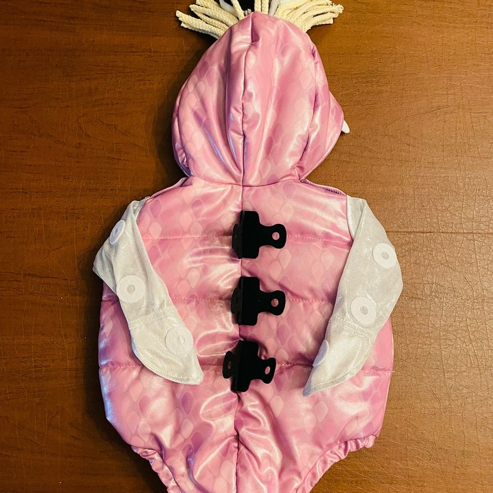 Pottery Barn Kids Monsters Inc Boo Costume - Picture 3 of 11